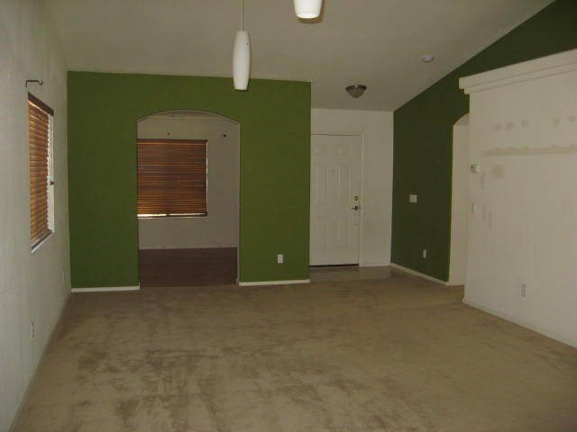 8614 West Riley Road Tolleson, AZ 85353 - Photo 8 of 30 LR DR view 2