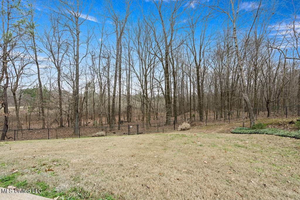 2922 Tulane Road Nesbit, MS 38651 - Photo 21 of 21 DSC02814