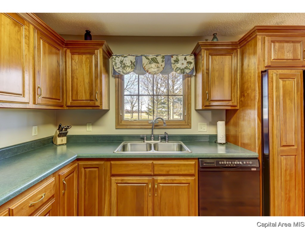 4123 Maxheimer Road Rochester, IL 62563 - Photo 11 of 31