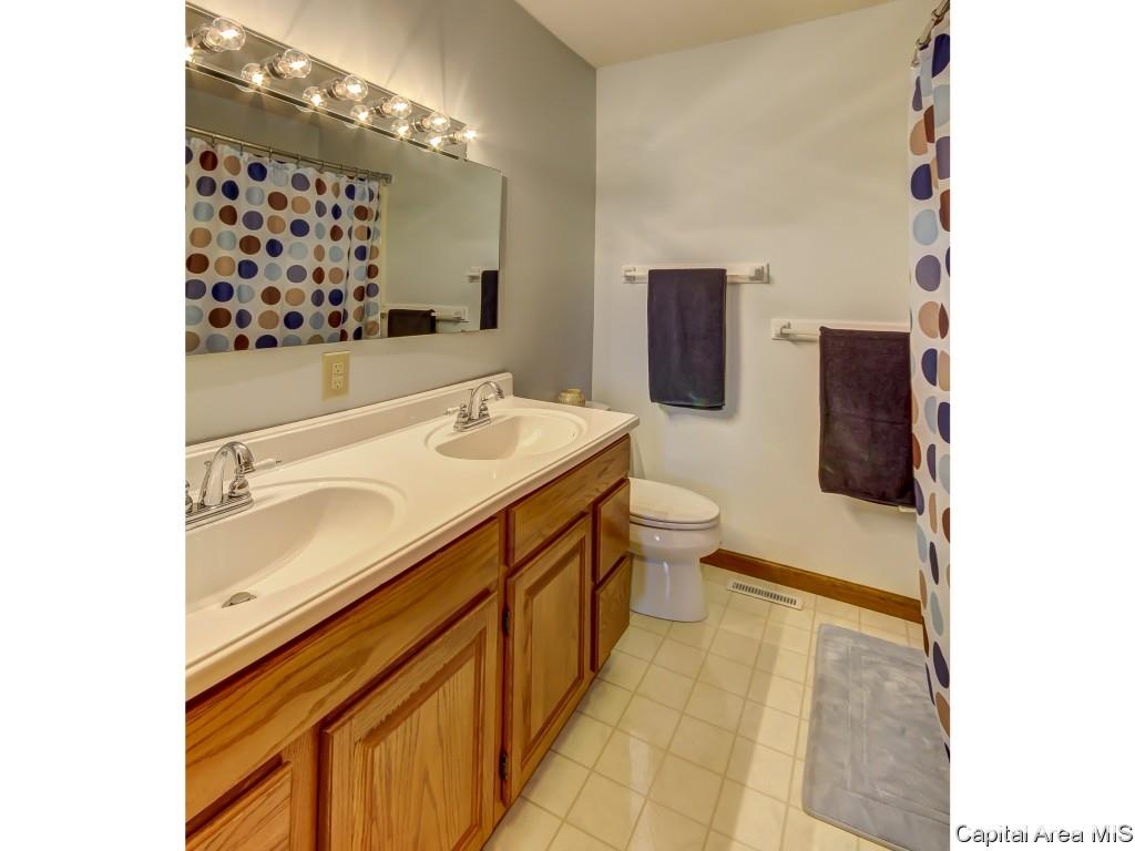 4123 Maxheimer Road Rochester, IL 62563 - Photo 19 of 31