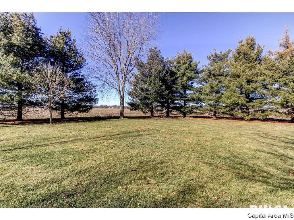 4123 Maxheimer Road Rochester, IL 62563 - Photo 26 of 31