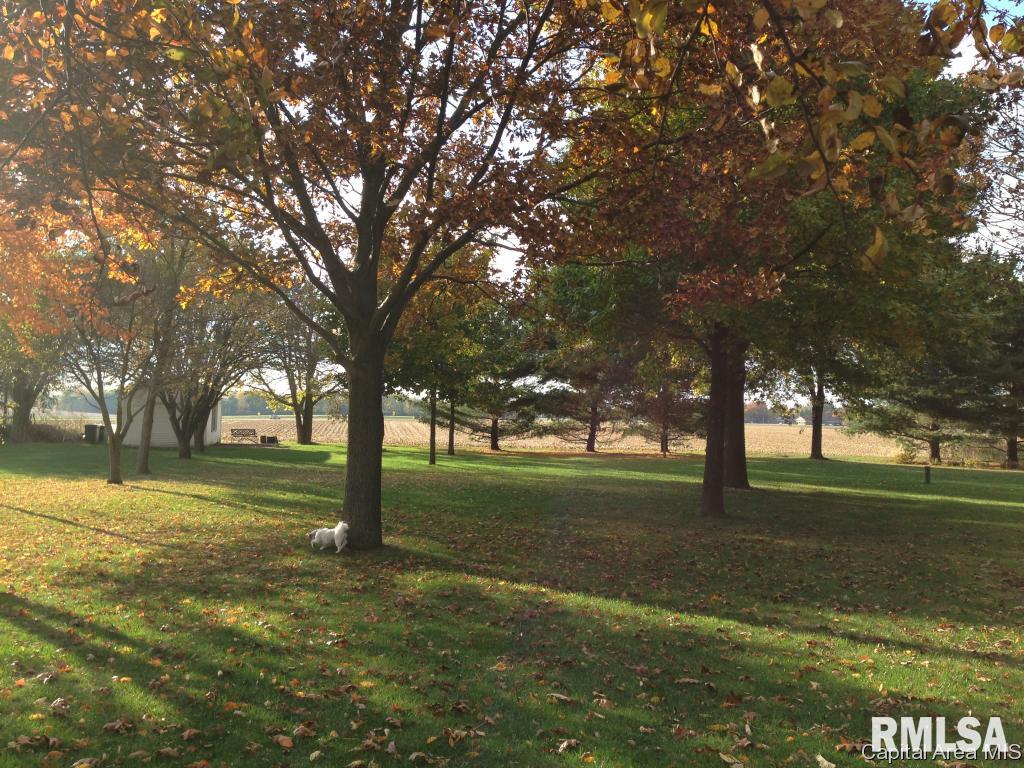 4123 Maxheimer Road Rochester, IL 62563 - Photo 29 of 31