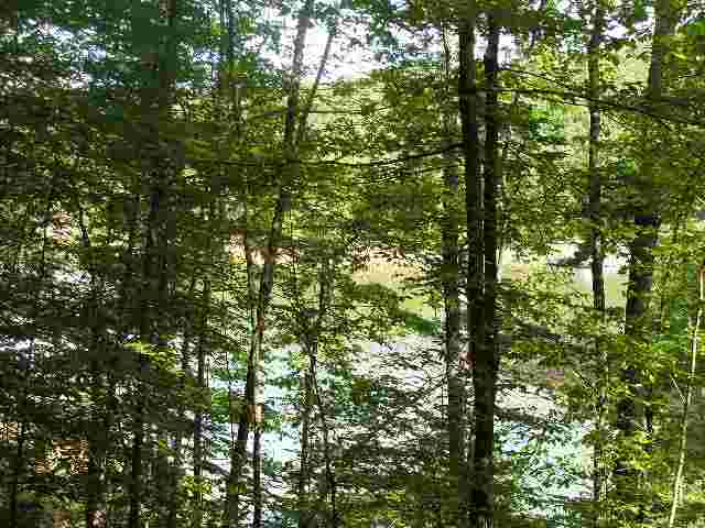 1683 Point Road Westminster, SC 29693 - Photo 3 of 11 Gallery Image 3