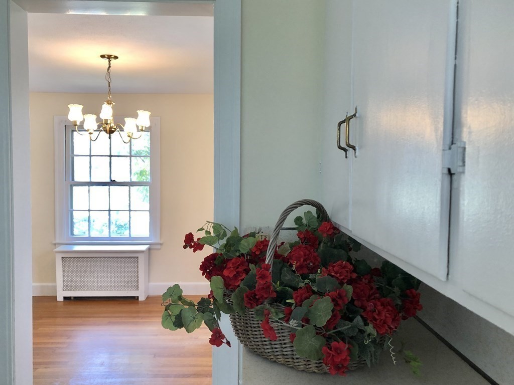 229 Emerson Street Springfield, MA 01118 - Photo 8 of 22
