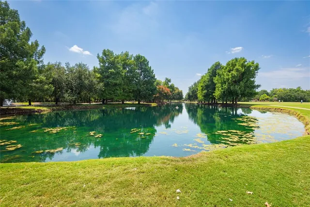 a view of park with tree s