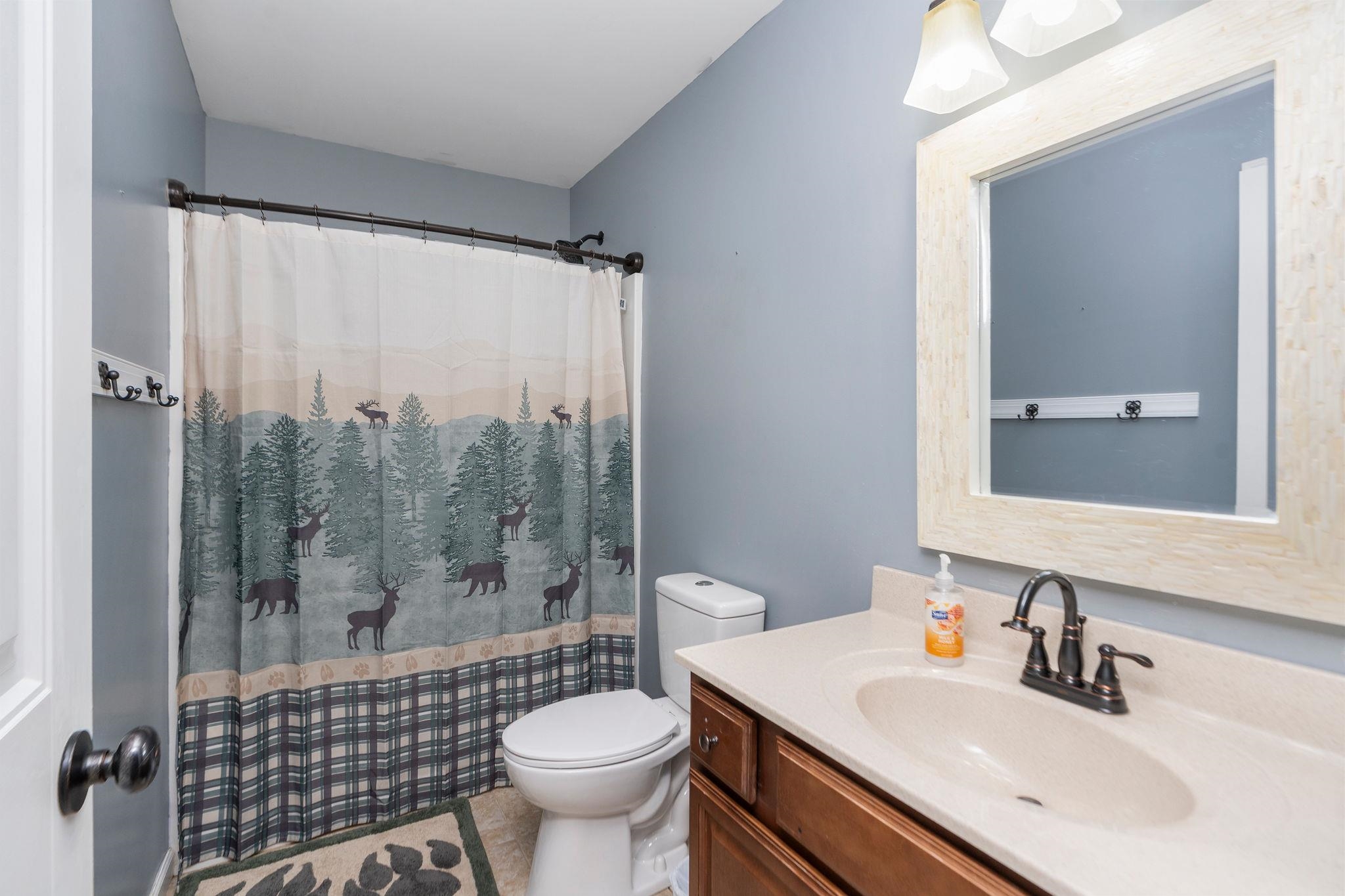 467 Reeds Gap Road Lyndhurst, VA 22952 - Photo 25 of 42 a bathroom with a sink toilet a mirror and shower