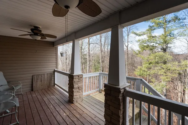 a view of a backyard