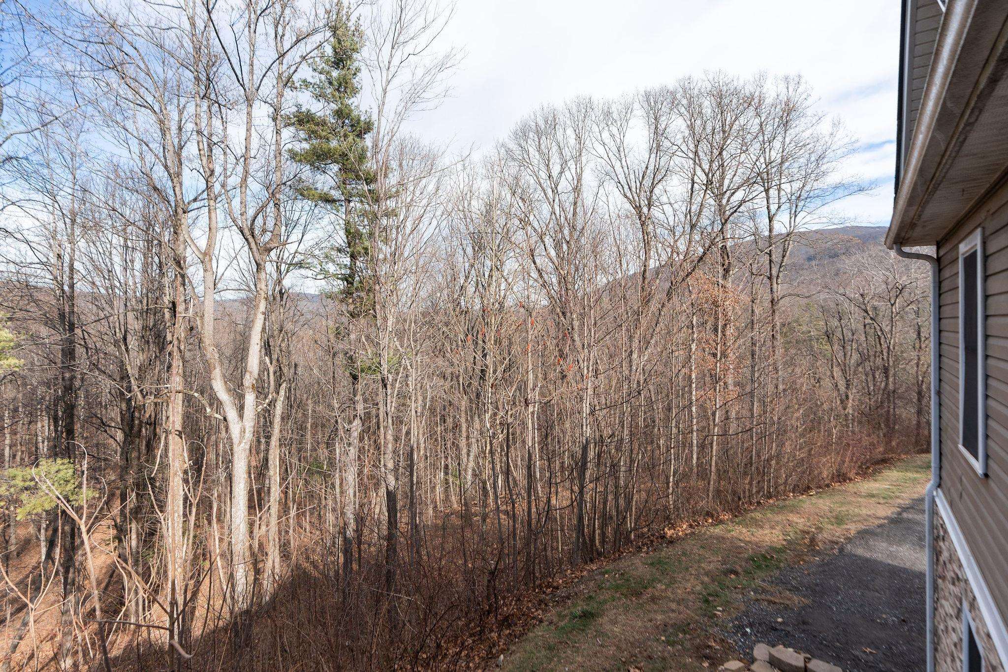 467 Reeds Gap Road Lyndhurst, VA 22952 - Photo 36 of 42 a view of a backyard of the house