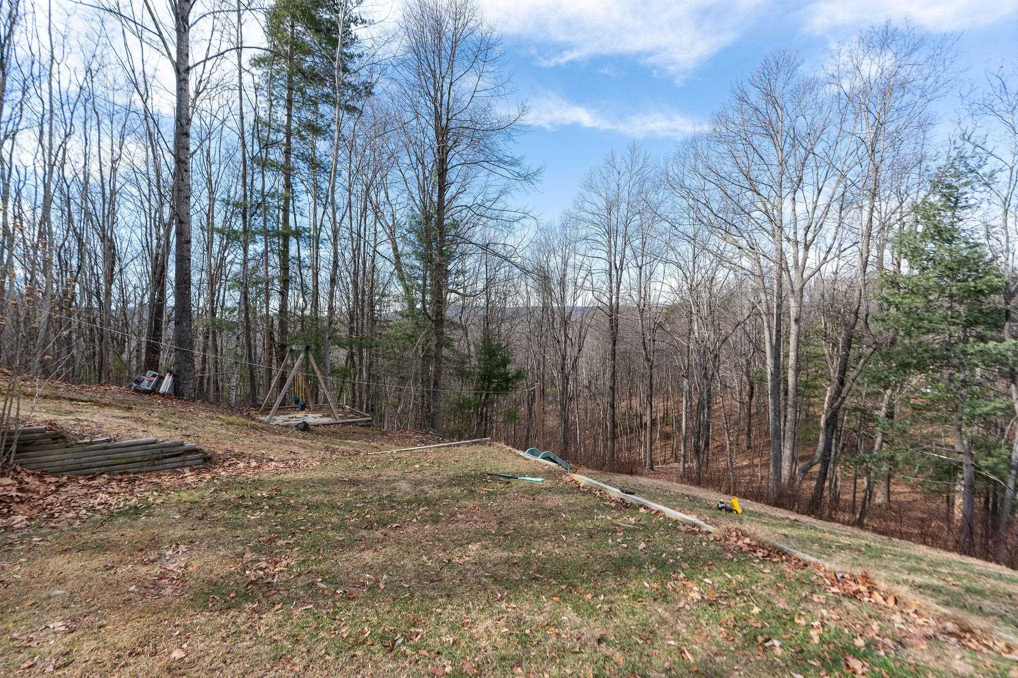 467 Reeds Gap Road Lyndhurst, VA 22952 - Photo 37 of 42 a backyard of a house with trees