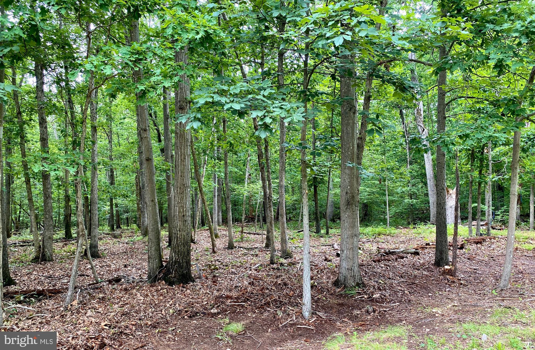 6116 Doyle Road Clifton, VA 20124 - Photo 1 of 4 Gallery Image 1
