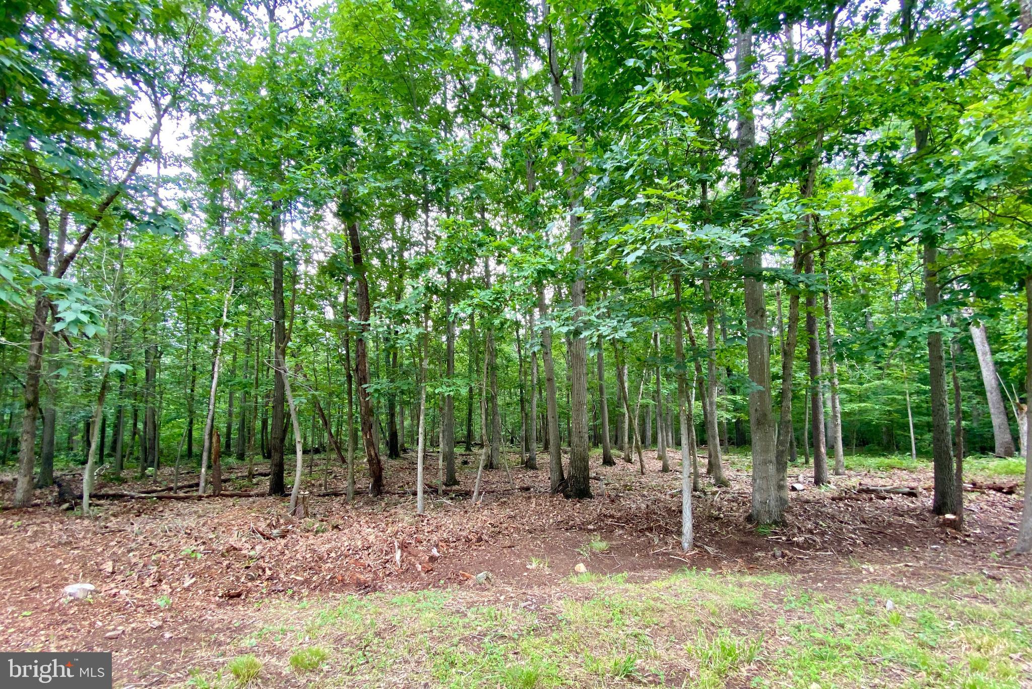 6116 Doyle Road Clifton, VA 20124 - Photo 2 of 4 Gallery Image 2