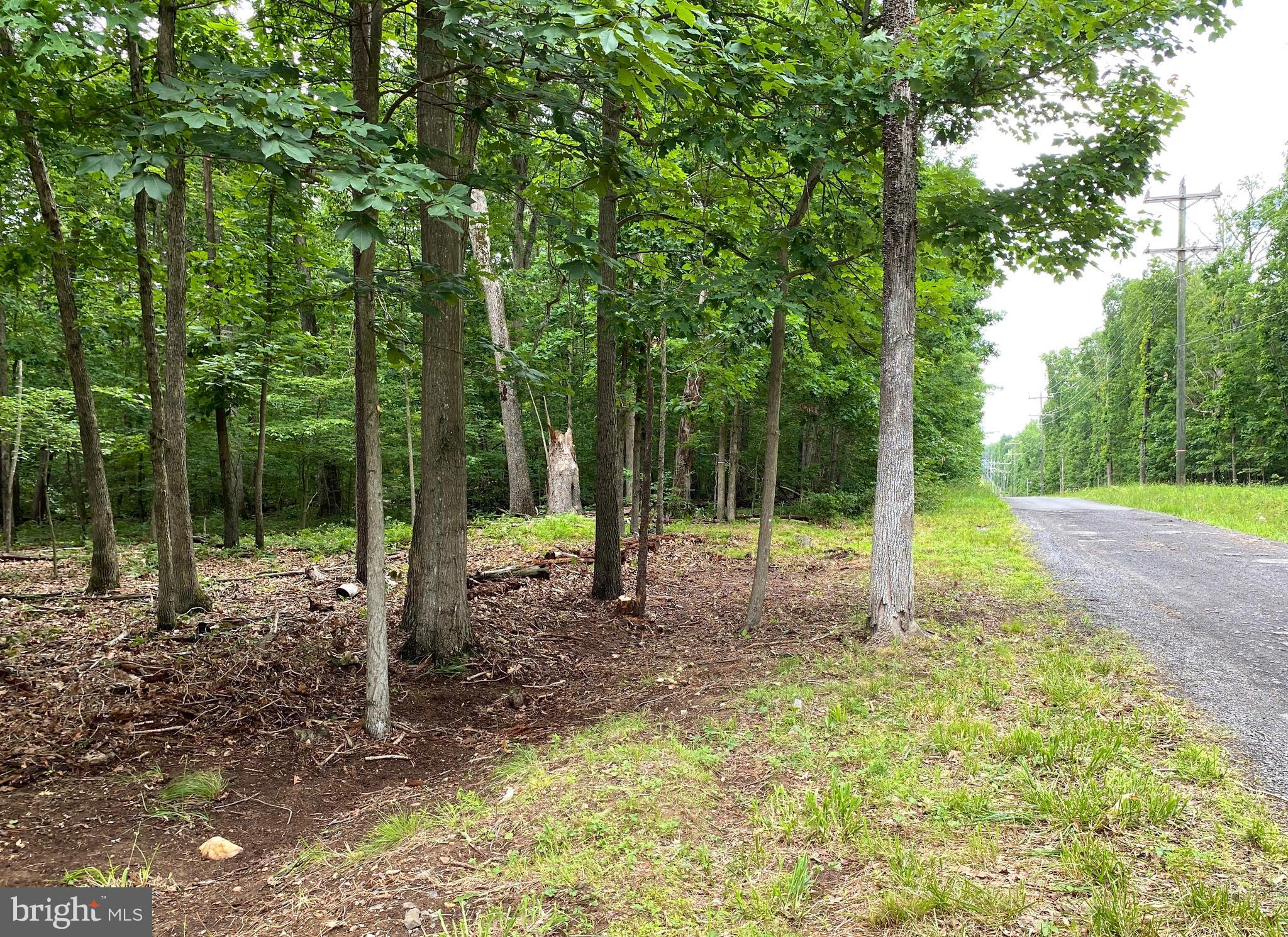 6116 Doyle Road Clifton, VA 20124 - Photo 3 of 4 Gallery Image 3