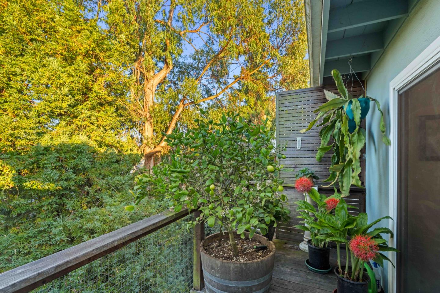 1890 Wharf Road Capitola, CA 95010 - Photo 14 of 25 Gallery Image 14