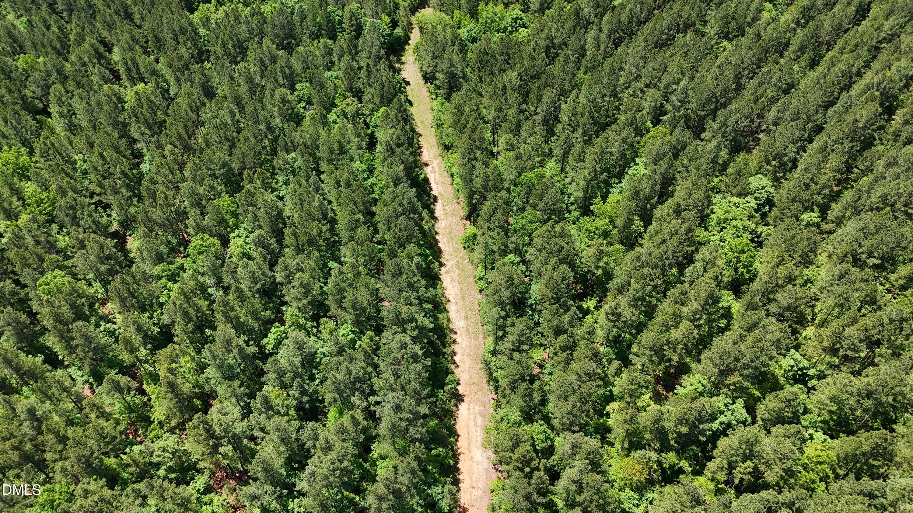 Lot 13 Wolf Pit Road Oxford, NC 27565 - Photo 11 of 14 mainpohoto