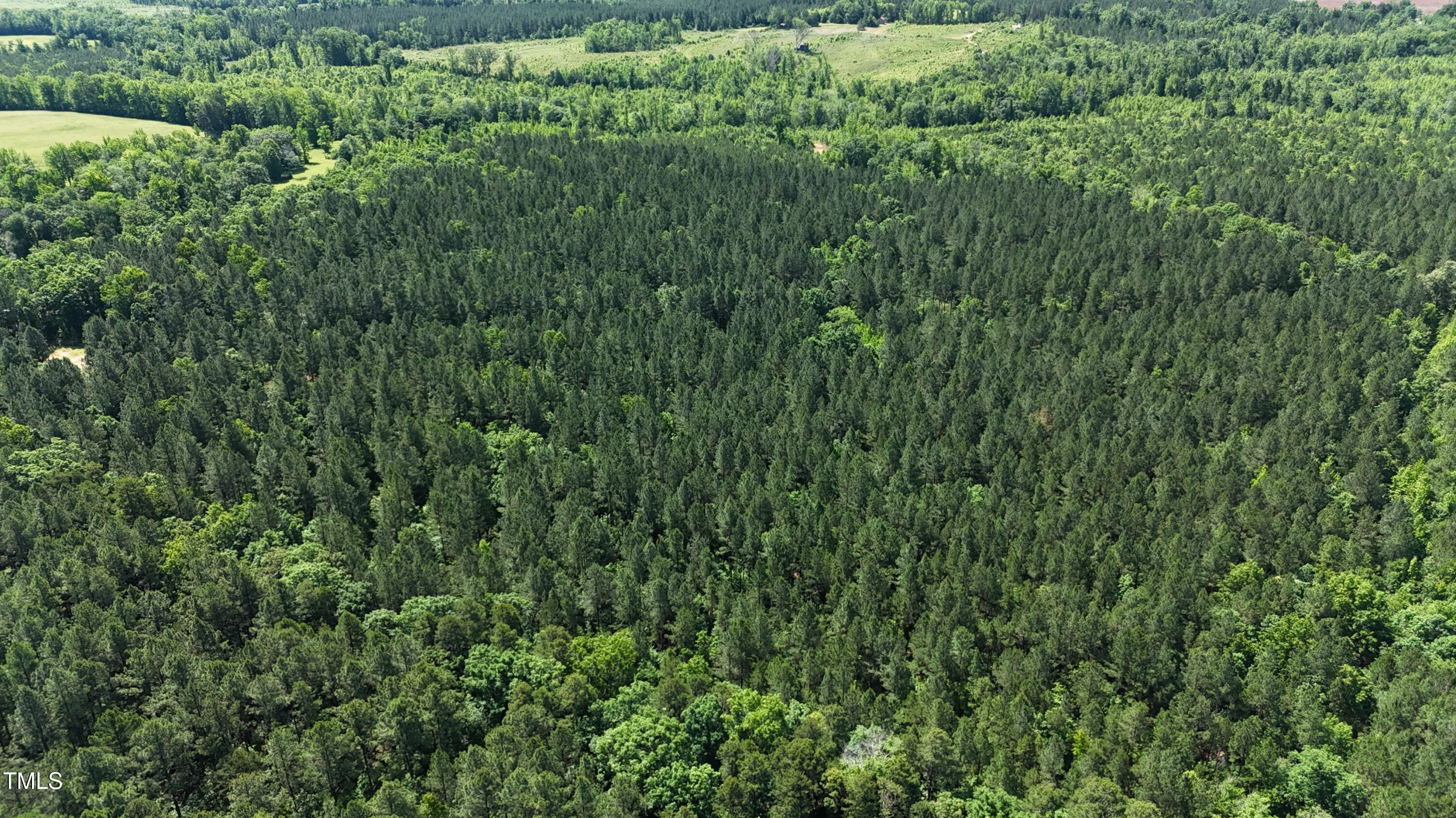 Lot 13 Wolf Pit Road Oxford, NC 27565 - Photo 9 of 14 a16