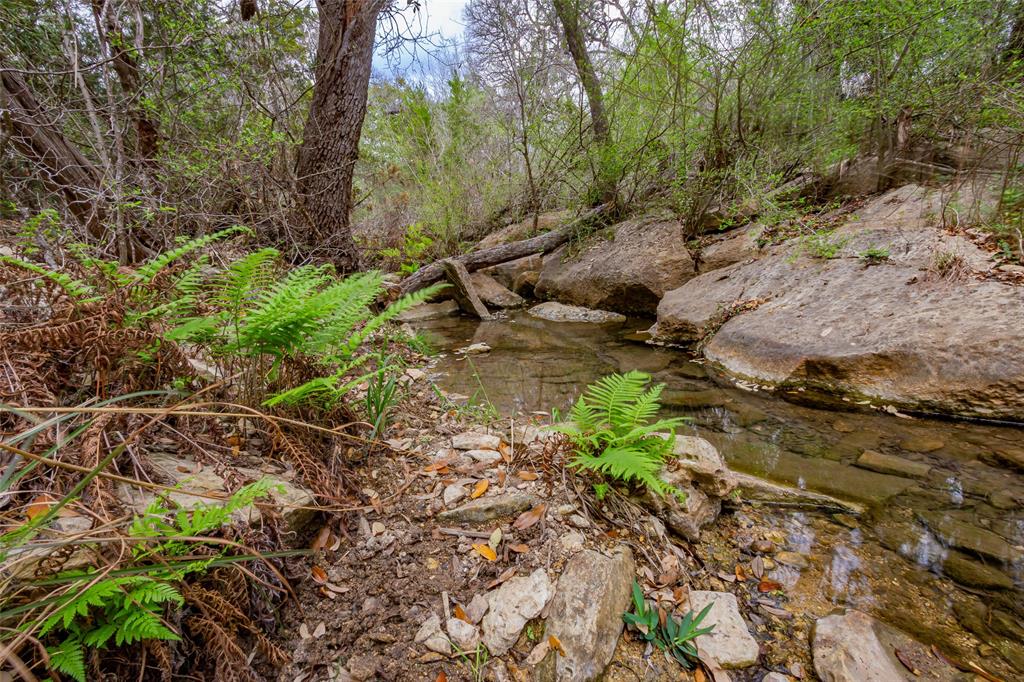 250 Mail Rte Road Fischer, TX 78623 - Photo 16 of 29 a view of a forest with trees