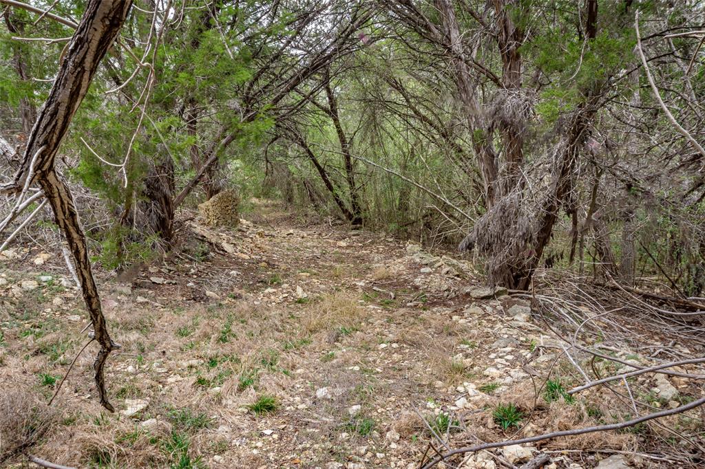 250 Mail Rte Road Fischer, TX 78623 - Photo 17 of 29 a view of a yard with large trees
