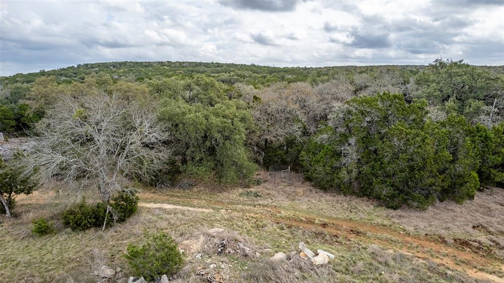 250 Mail Rte Road Fischer, TX 78623 - Photo 18 of 29 a view of a dry yard with lots of trees