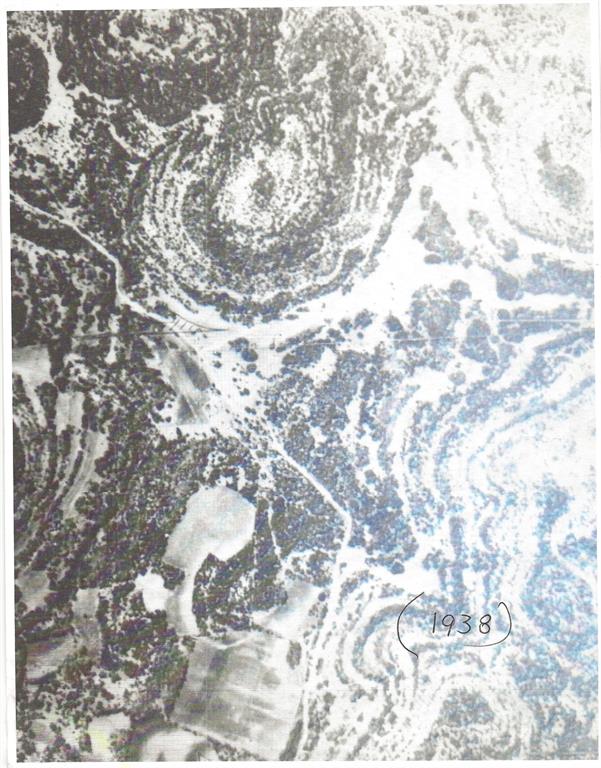 250 Mail Rte Road Fischer, TX 78623 - Photo 27 of 29 a close up of a tree