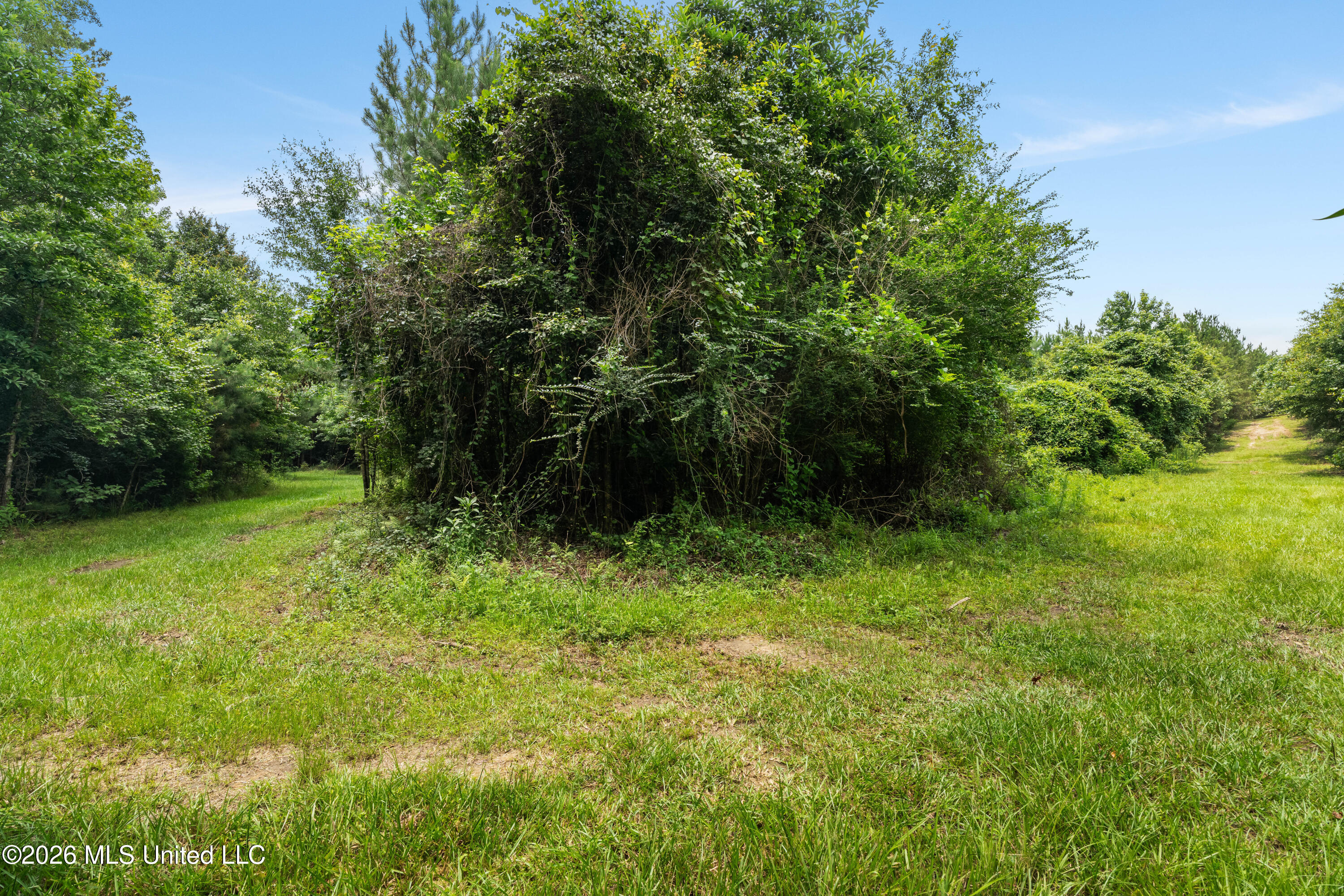 232 Knoxo Columbia Road Tylertown, MS 39667 - Photo 102 of 120 232_Knoxo_Columbia_Rd-101
