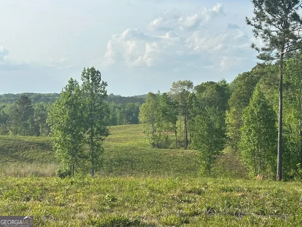 a view of a green yard
