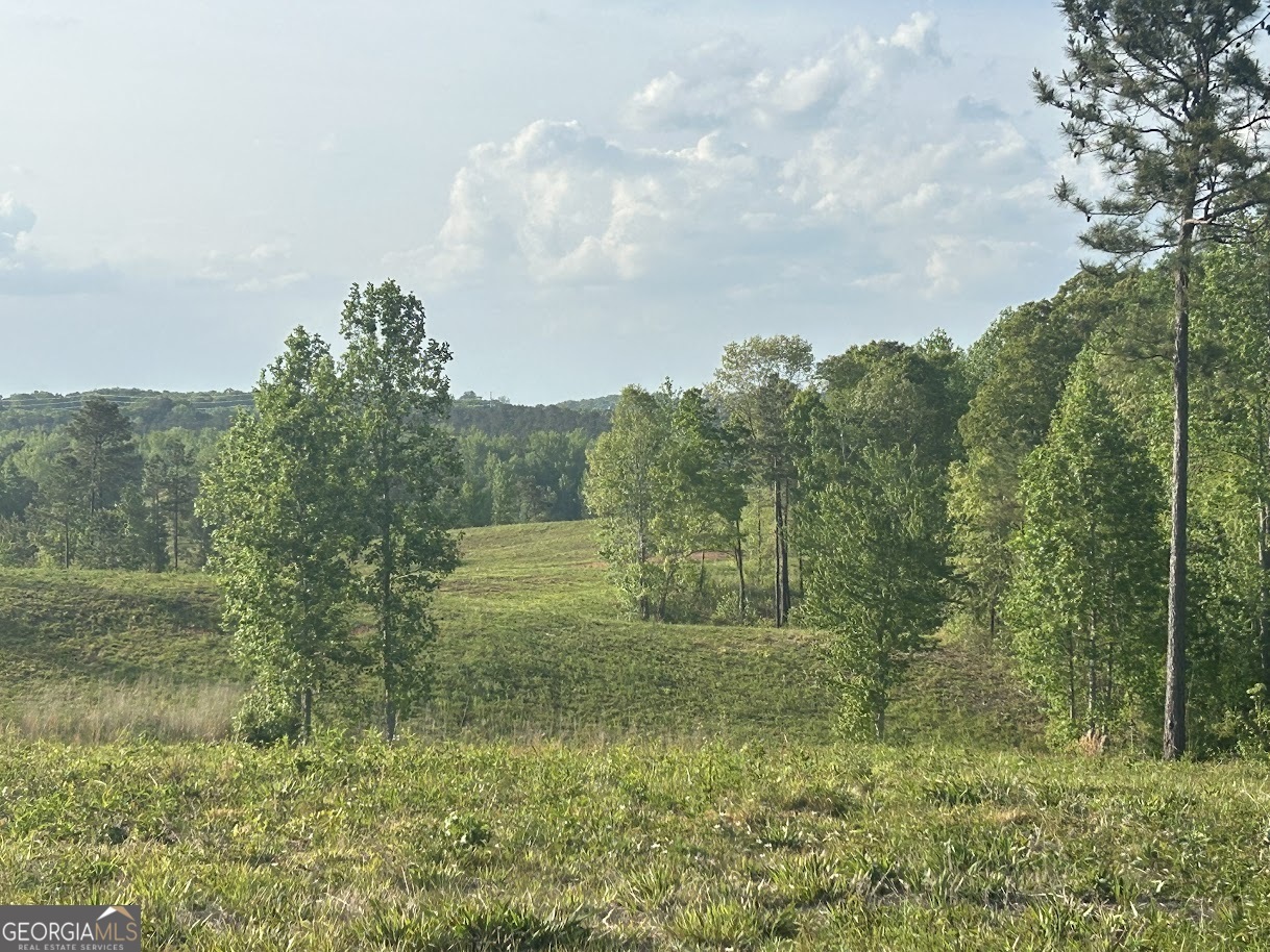 0 Needmore Road, Unit 345 37 ACRES) Roopville, GA 30170 - Photo 11 of 39 a view of a green yard