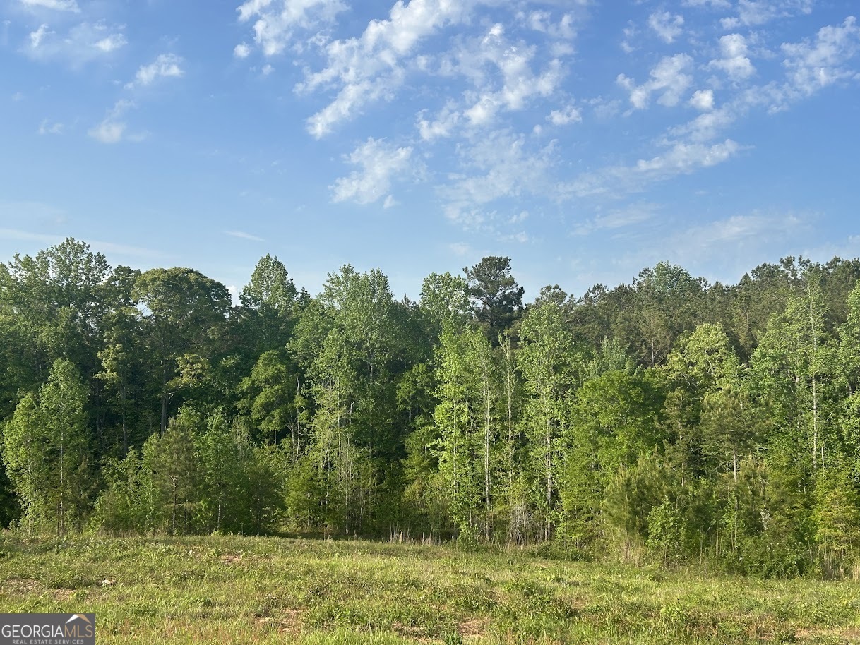 0 Needmore Road, Unit 345 37 ACRES) Roopville, GA 30170 - Photo 12 of 39 a view of a lake with houses