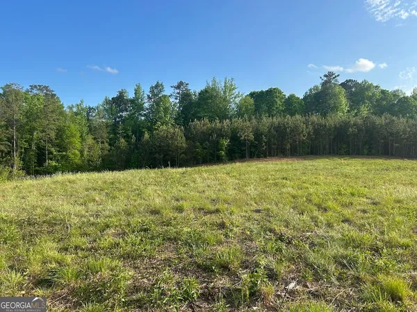 a view of a field with trees in the background
