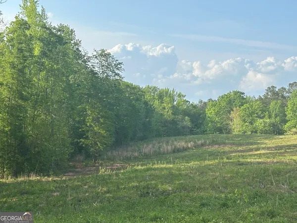 a view of a green field with lots of green space