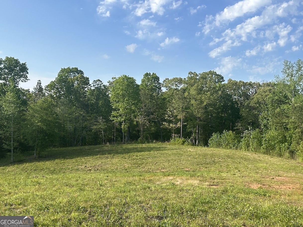 0 Needmore Road, Unit 345 37 ACRES) Roopville, GA 30170 - Photo 15 of 39 a backyard of a house with lots of green space