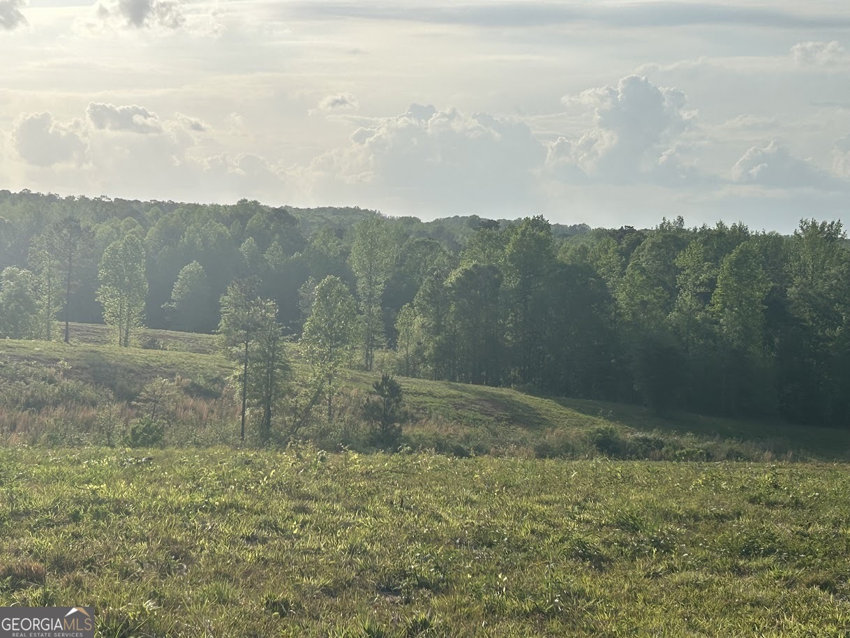 0 Needmore Road, Unit 345 37 ACRES) Roopville, GA 30170 - Photo 18 of 39 a view of a dry yard with mountain
