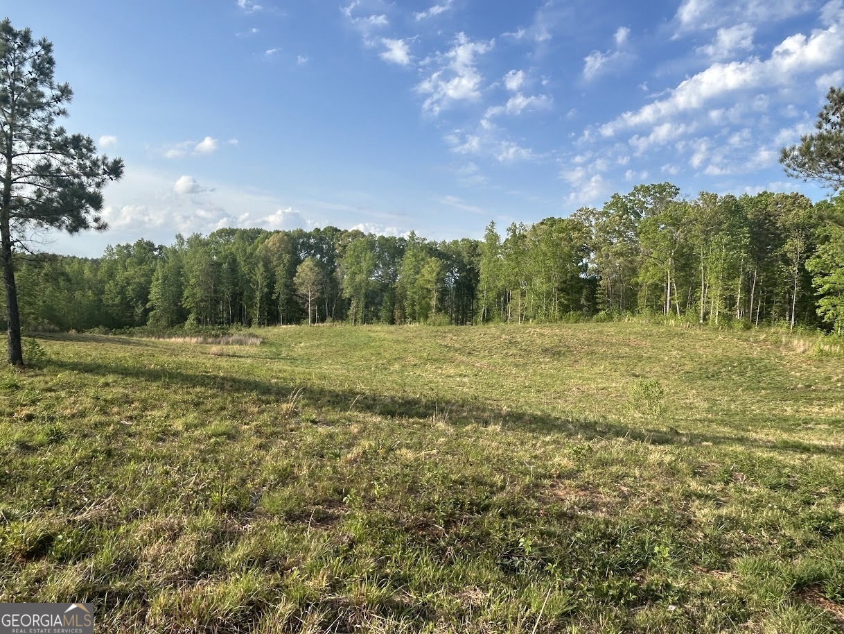 0 Needmore Road, Unit 345 37 ACRES) Roopville, GA 30170 - Photo 20 of 39 a view of a field with a tree in the background