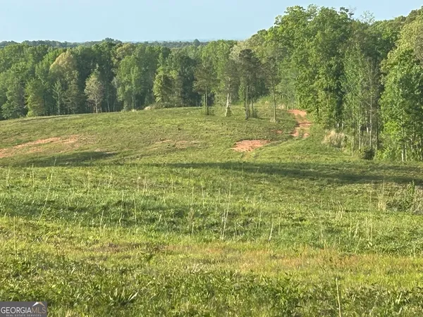 a view of a green field with trees