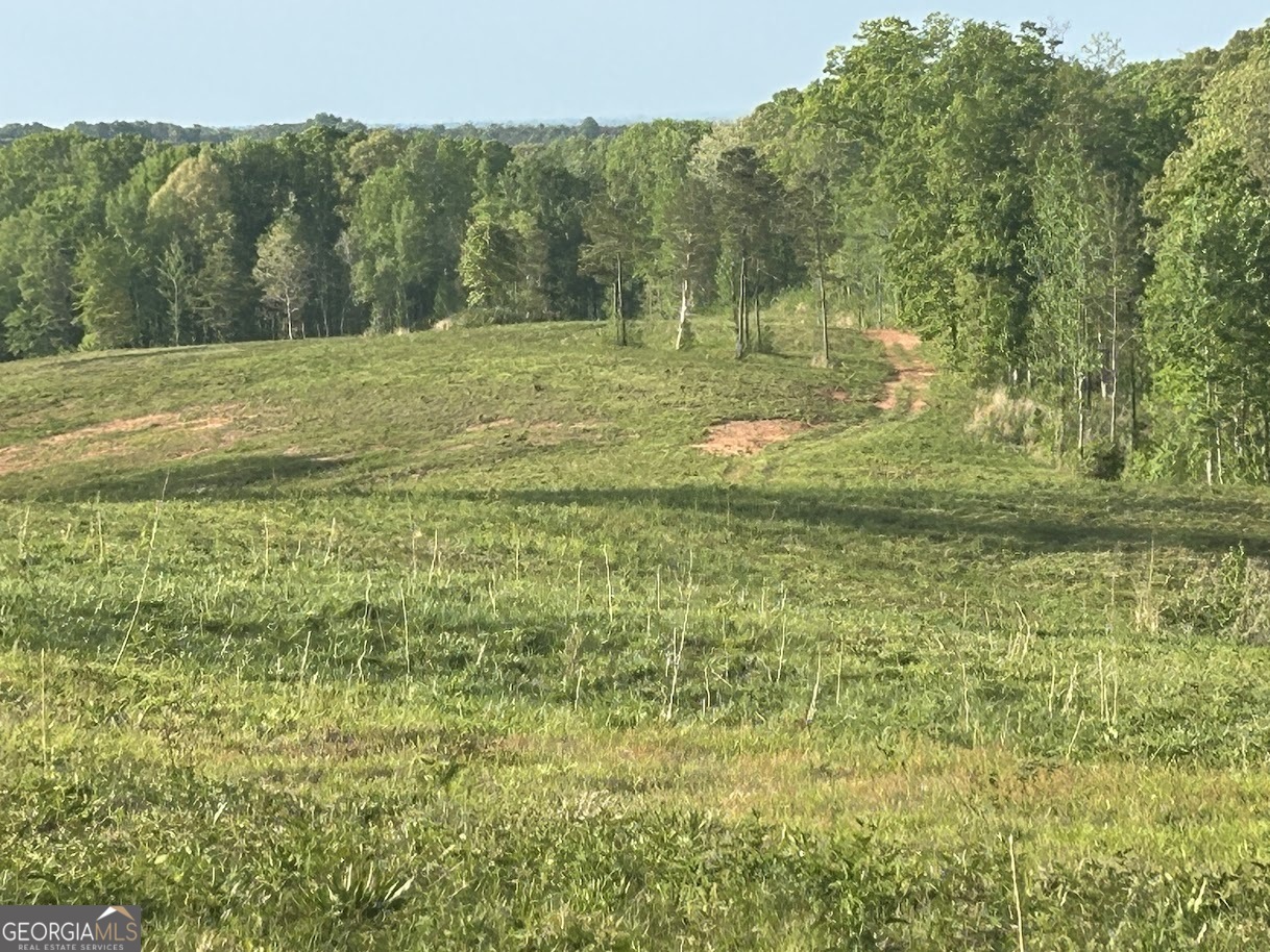 0 Needmore Road, Unit 345 37 ACRES) Roopville, GA 30170 - Photo 2 of 39 a view of a green field with trees
