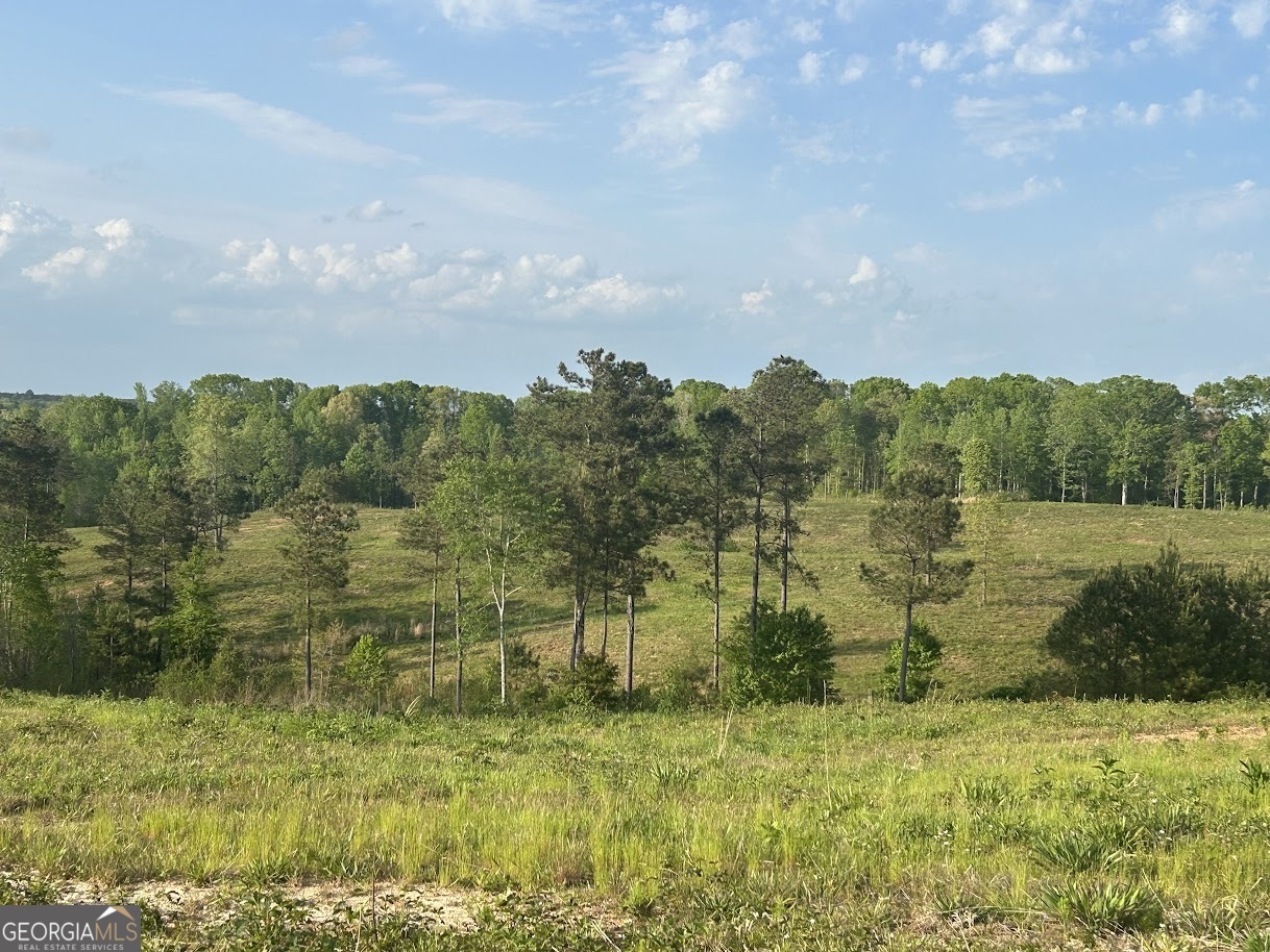 0 Needmore Road, Unit 345 37 ACRES) Roopville, GA 30170 - Photo 21 of 39 a view of a lake with houses in the back