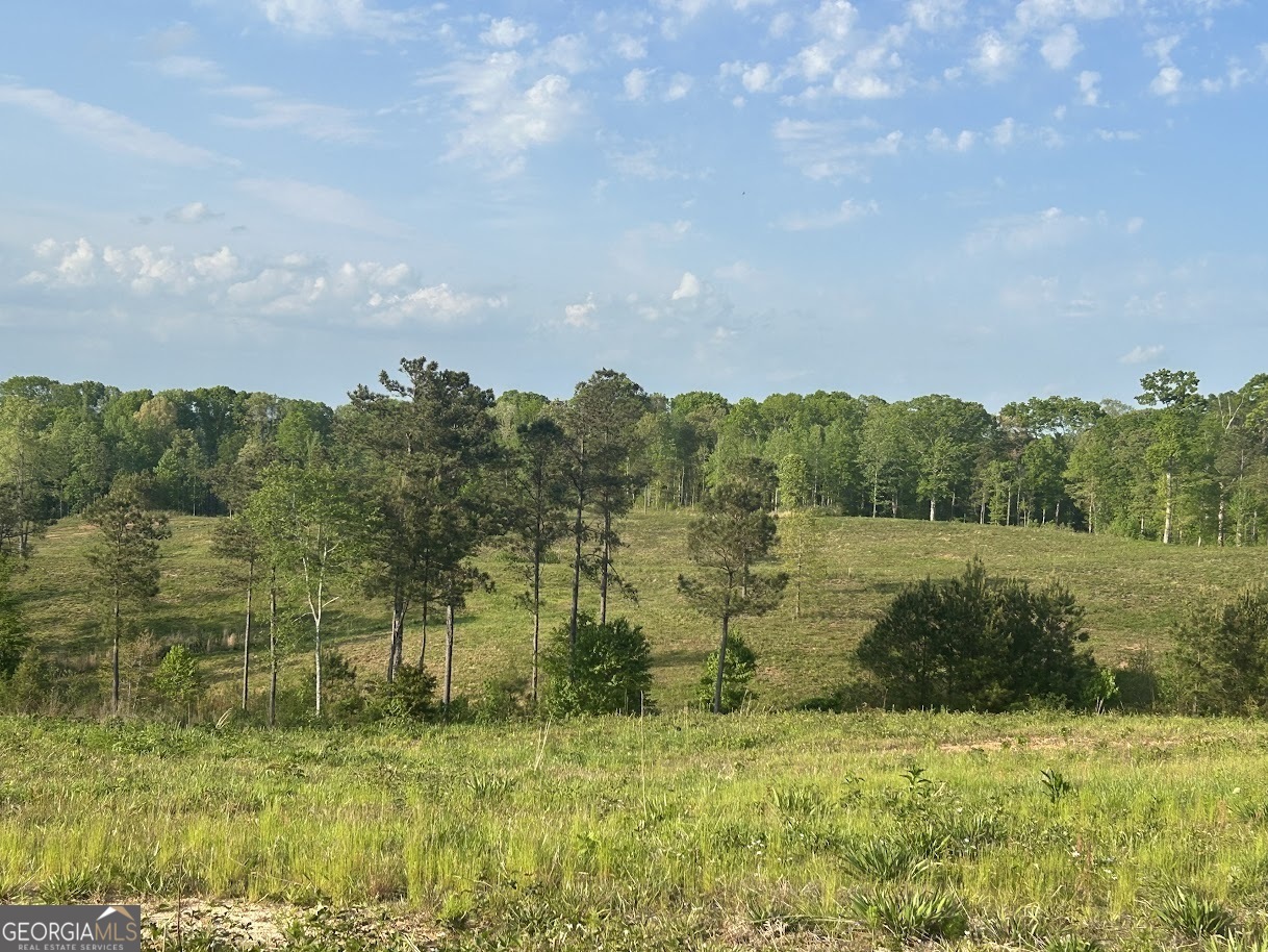 0 Needmore Road, Unit 345 37 ACRES) Roopville, GA 30170 - Photo 22 of 39 a view of a lake with houses