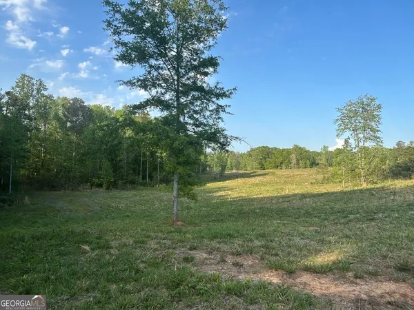 a view of a field with a tree in it