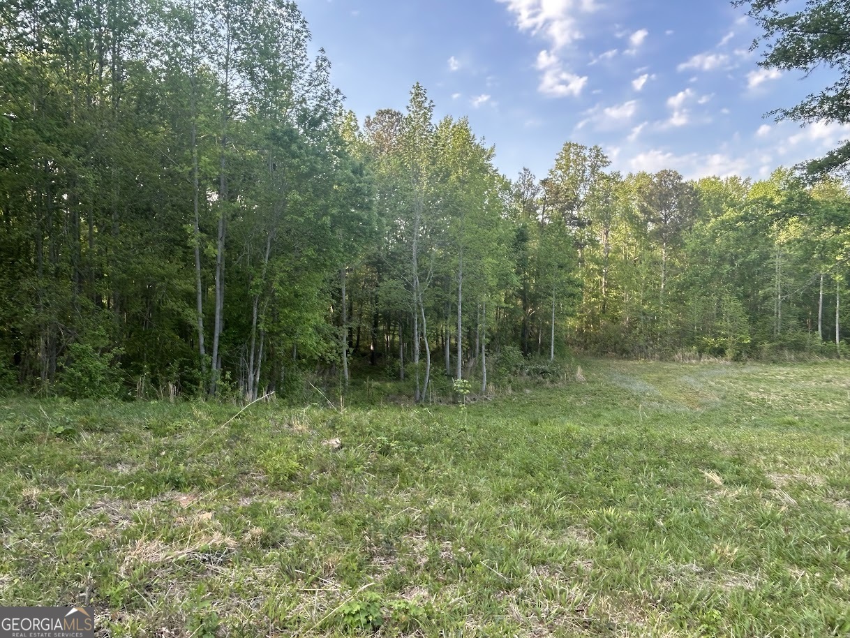 0 Needmore Road, Unit 345 37 ACRES) Roopville, GA 30170 - Photo 24 of 39 a view of outdoor space and green field