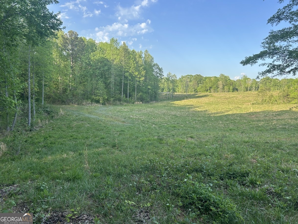 0 Needmore Road, Unit 345 37 ACRES) Roopville, GA 30170 - Photo 26 of 39 a view of an outdoor space and a yard