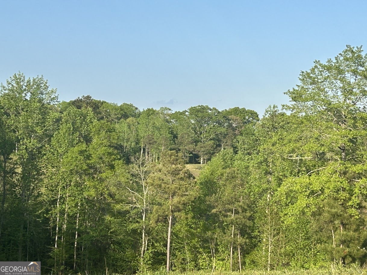 0 Needmore Road, Unit 345 37 ACRES) Roopville, GA 30170 - Photo 28 of 39 a view of a lush green forest with lots of trees