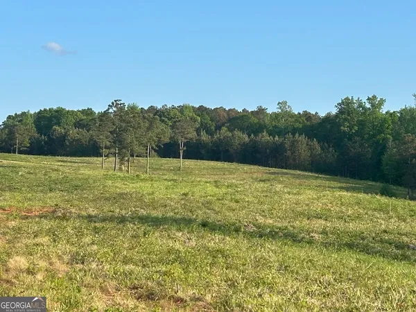 a view of a field with a tree in the background