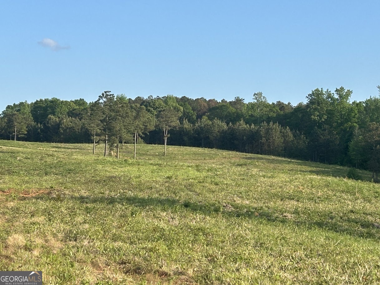 0 Needmore Road, Unit 345 37 ACRES) Roopville, GA 30170 - Photo 29 of 39 a view of a field with a tree in the background
