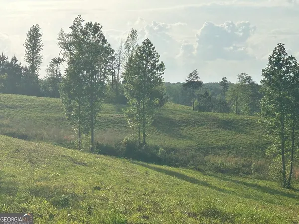 a view of a big yard