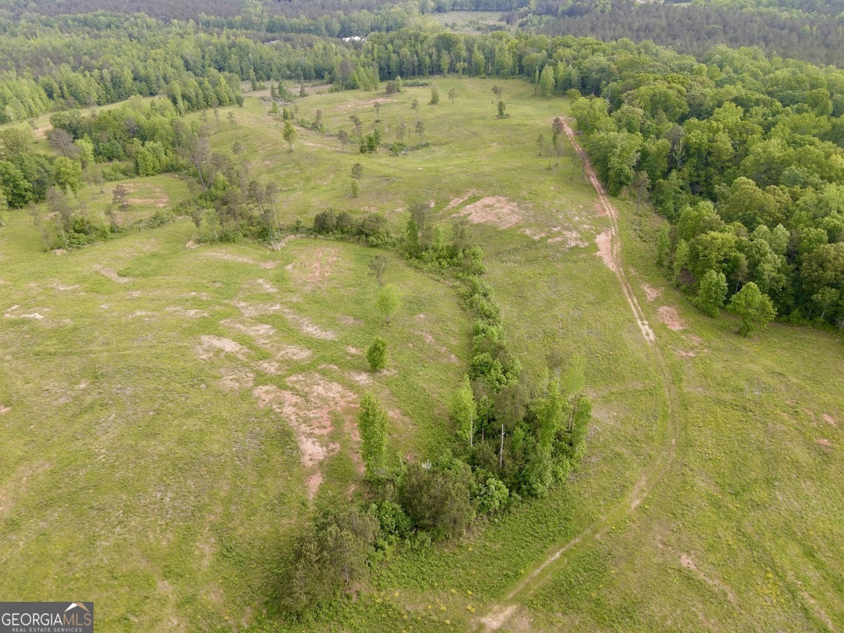 0 Needmore Road, Unit 345 37 ACRES) Roopville, GA 30170 - Photo 31 of 39 a view of a lake view