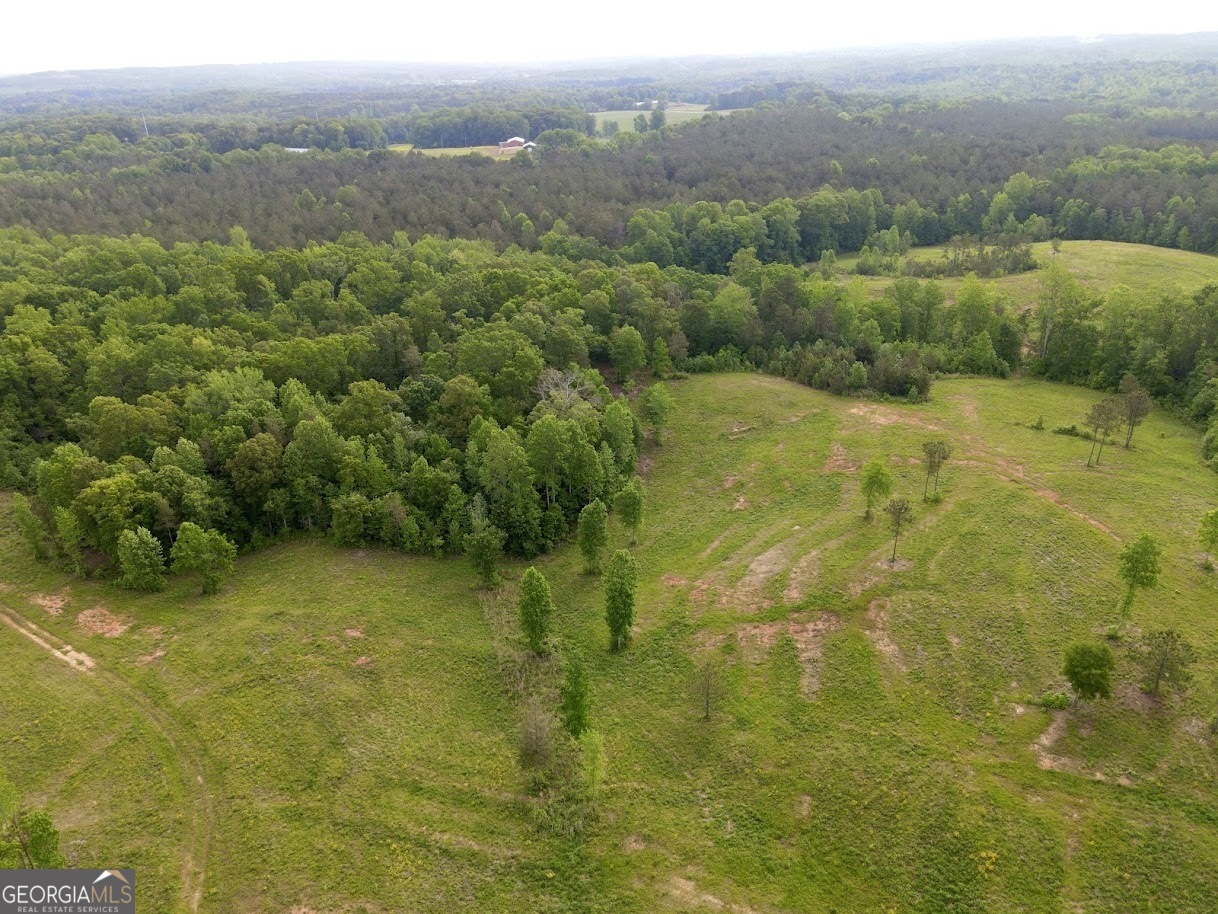 0 Needmore Road, Unit 345 37 ACRES) Roopville, GA 30170 - Photo 34 of 39 a view of a lake with a city