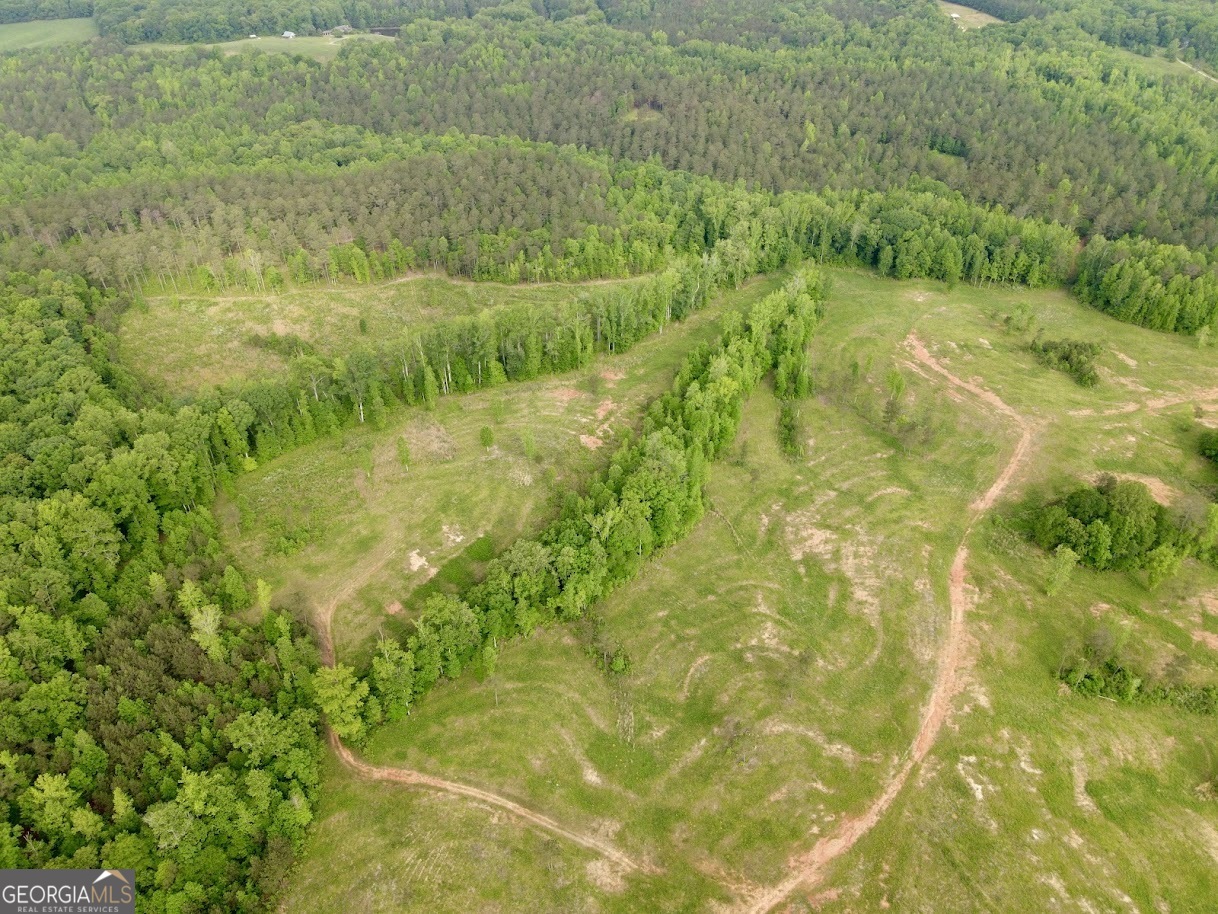 0 Needmore Road, Unit 345 37 ACRES) Roopville, GA 30170 - Photo 36 of 39 a view of a big yard with large trees