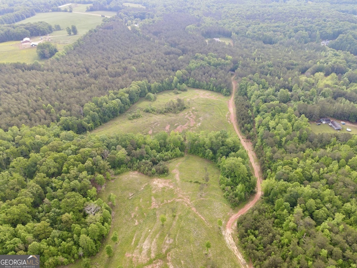 0 Needmore Road, Unit 345 37 ACRES) Roopville, GA 30170 - Photo 37 of 39 a view of a lake in a forest