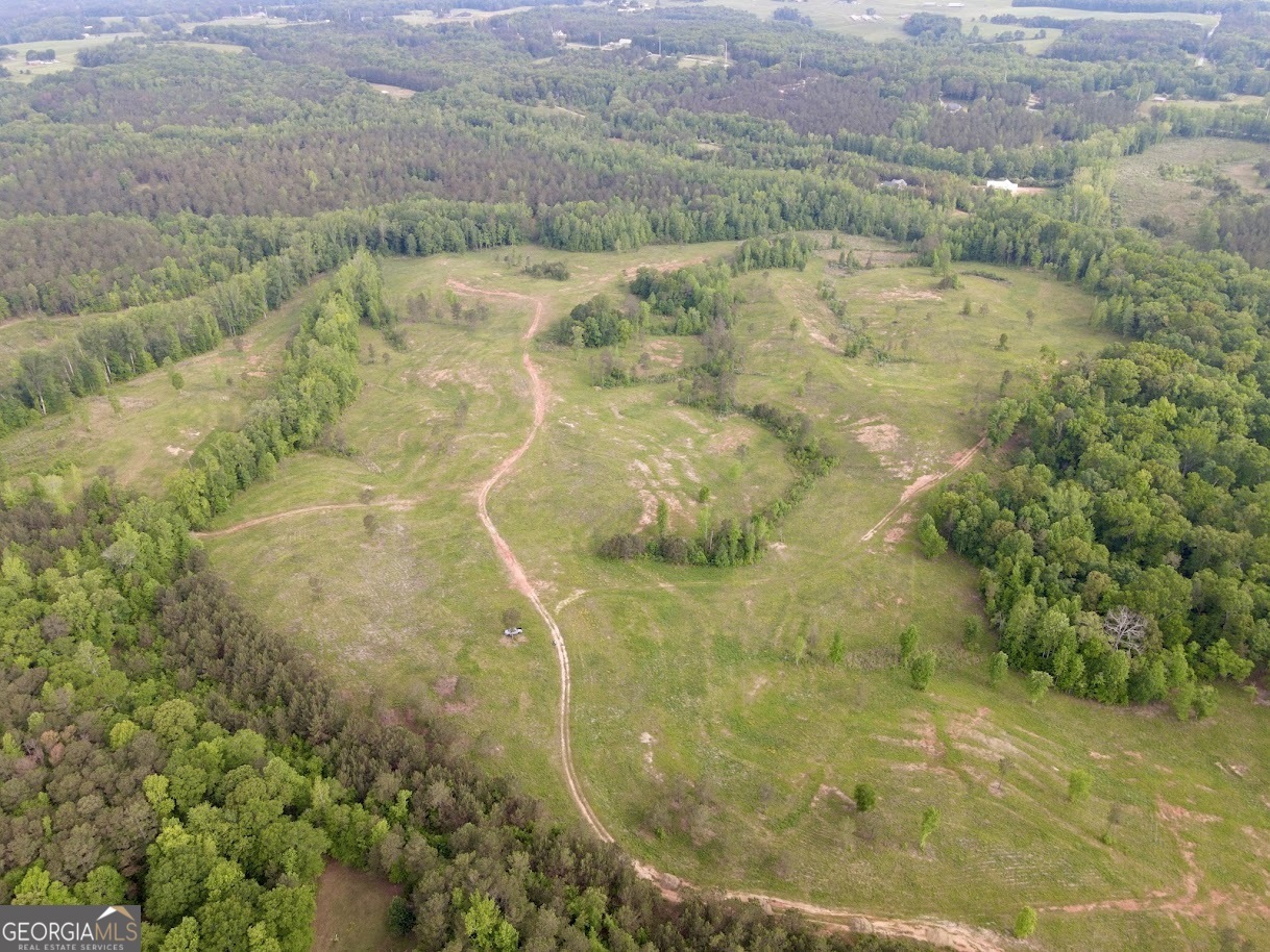 0 Needmore Road, Unit 345 37 ACRES) Roopville, GA 30170 - Photo 39 of 39 a view of a lake view