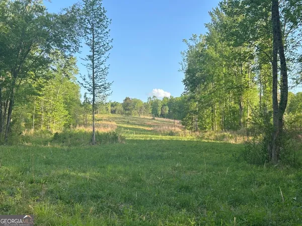 a view of a park