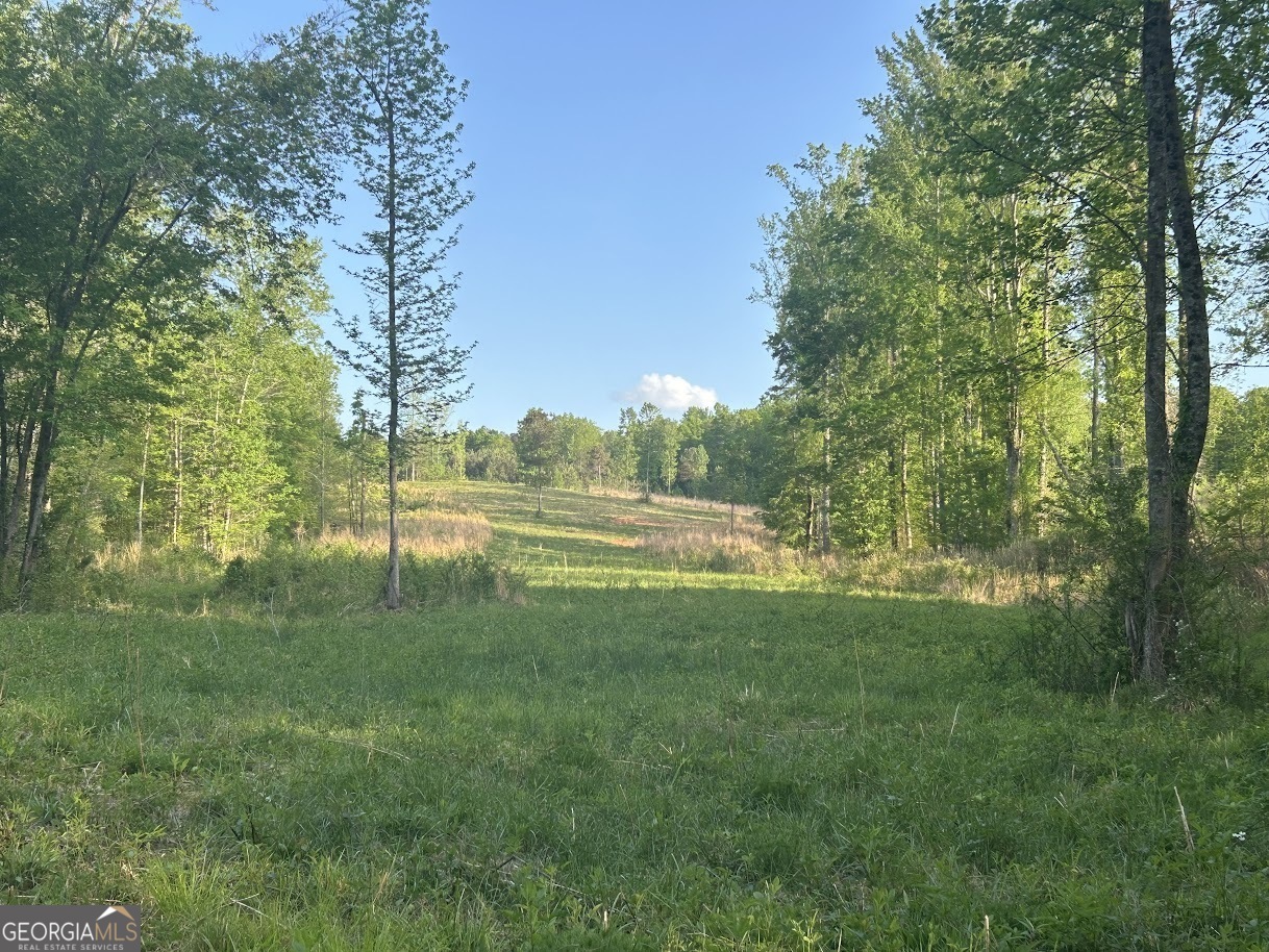 0 Needmore Road, Unit 345 37 ACRES) Roopville, GA 30170 - Photo 4 of 39 a view of a park